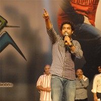 Jr NTR's Oosaravelli Audio Launch Gallery | Picture 77365